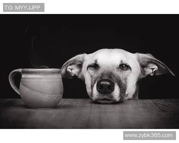 足球女星抱狗萌态尽显 温暖瞬间感动球迷心扉